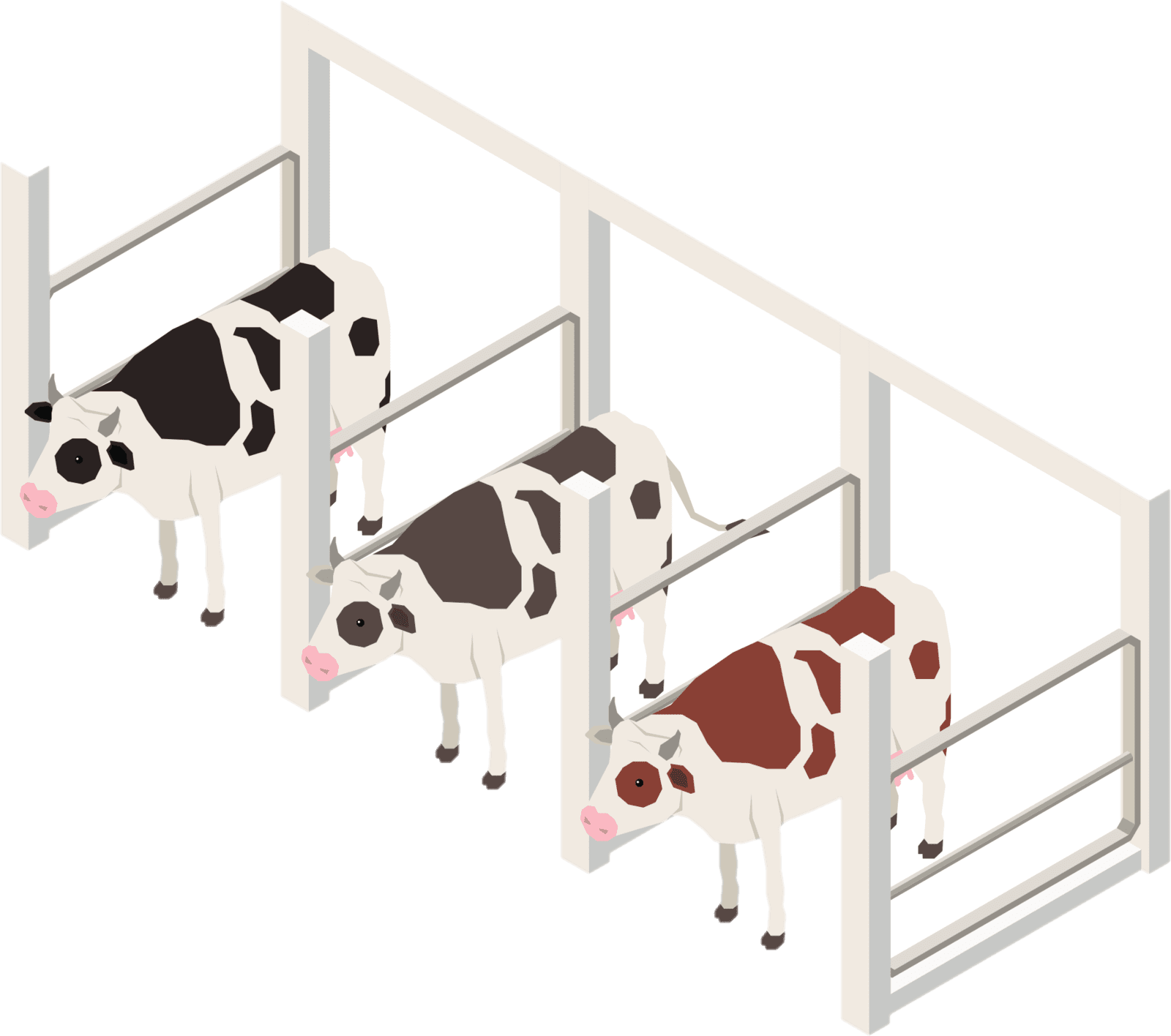Animal Welfare